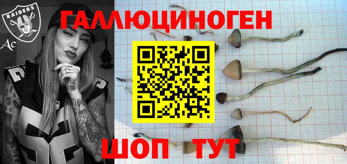 Псилоцибиновые грибы Psilocybe  Галлюциногенные грибы ЛСД  Вход с VPN  продажа наркотиков  Лысьва 