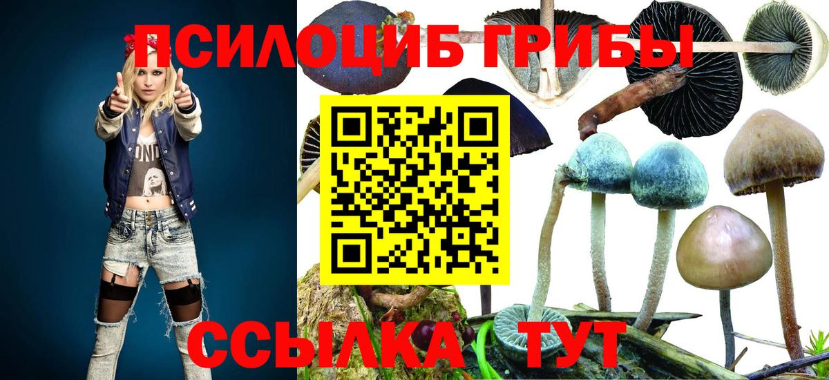 Псилоцибиновые грибы мухоморы Лысьва